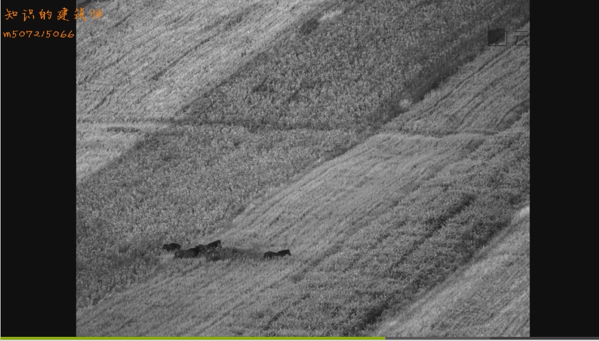 image-20230114153933877